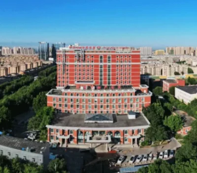 我想知道大多数失独家庭都是怎么走出困境的？